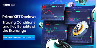 Exploring PrimeXBT Forex A Gateway to Trading Success