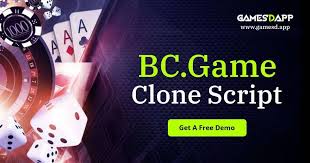 Discover the Exciting World of BC.Game A Comprehensive Guide